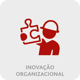 inovacao-organizacao