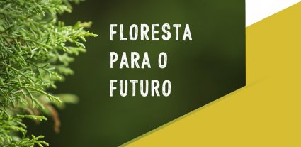 SerQ - Workshop “Floresta para o Futuro”