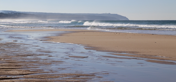 Estuaries and Coastal Zone Unit